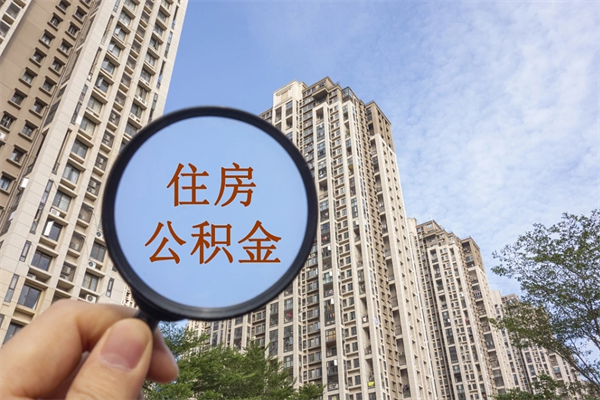 查询我的住房公积金-黑河公积金代办平台